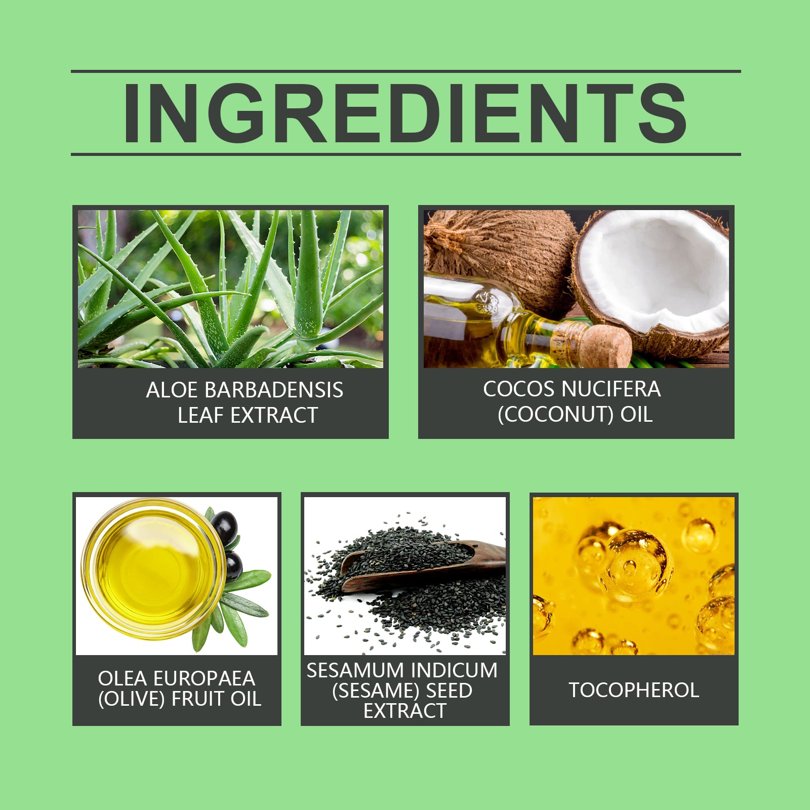 ALOE WINGS STORE