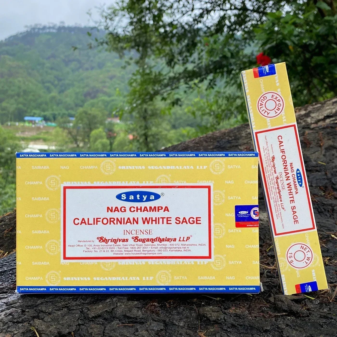 Box Of Satya Handmade Indian Incense Sticks (12 packets in a Large Box) SELECTION - ALOE WINGS STORE