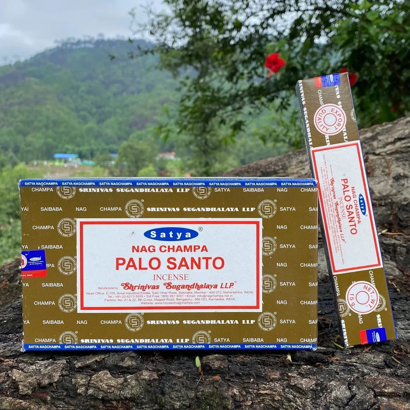 Box Of Satya Handmade Indian Incense Sticks (12 packets in a Large Box) SELECTION - ALOE WINGS STORE