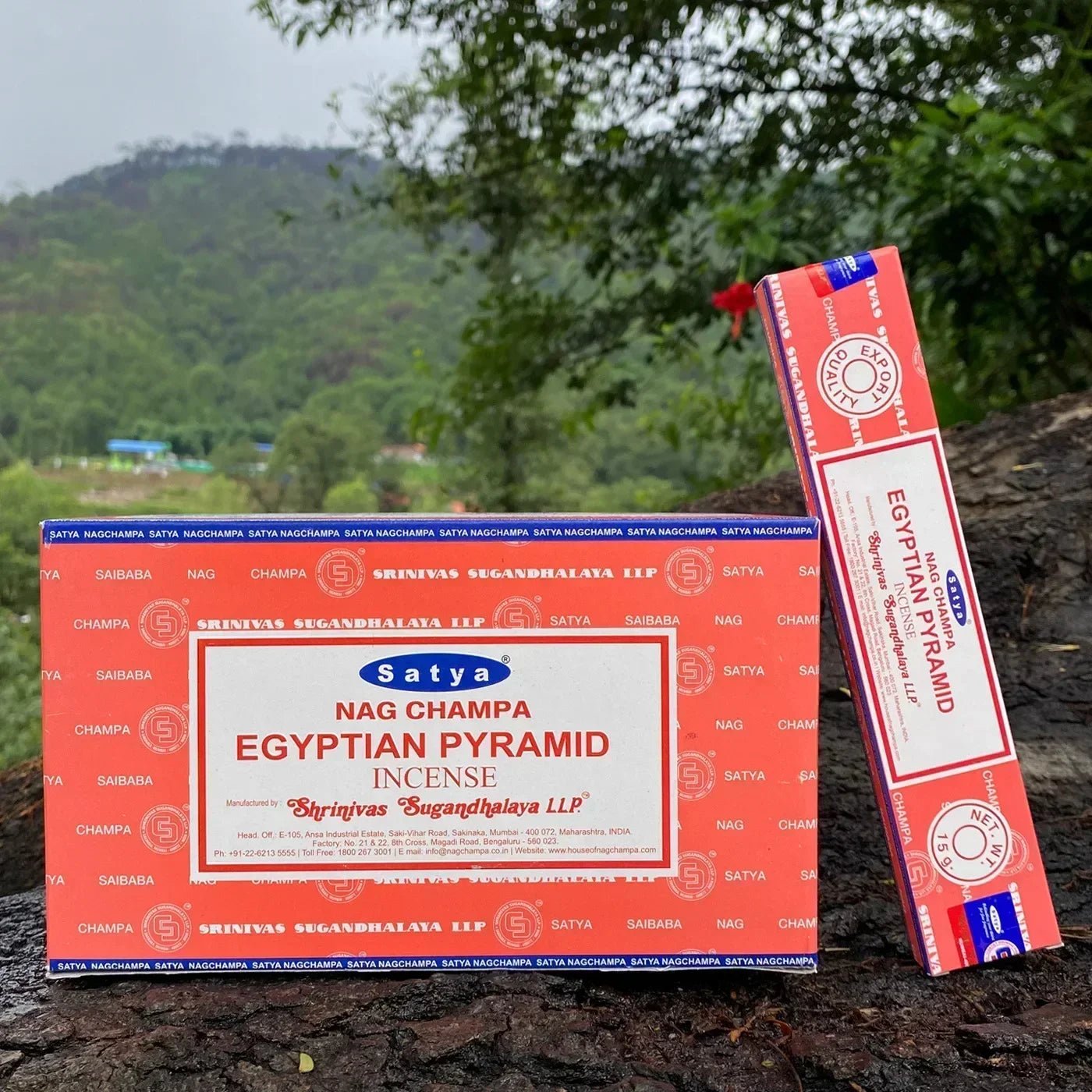 Box Of Satya Handmade Indian Incense Sticks (12 packets in a Large Box) SELECTION - ALOE WINGS STORE