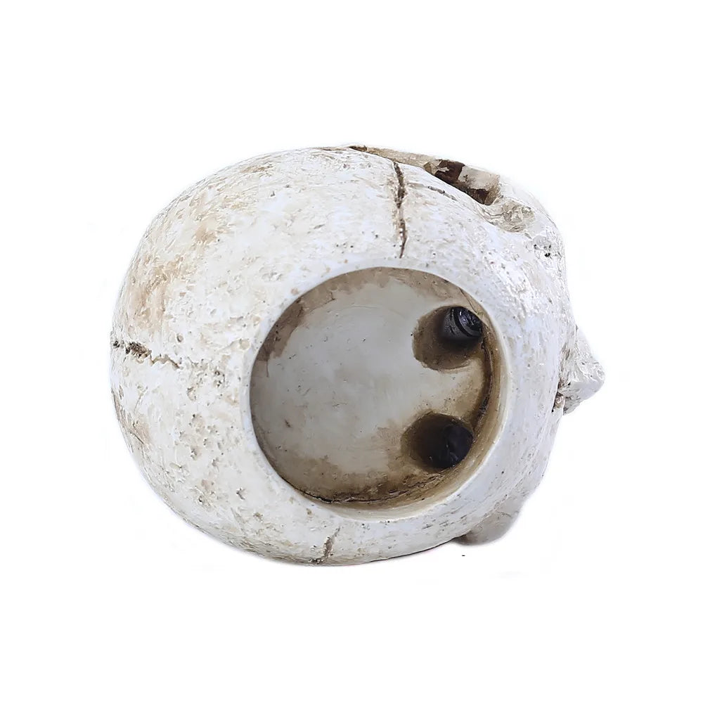 Gothic Skull Bone Candle Stand for Desktop - ALOE WINGS STORE