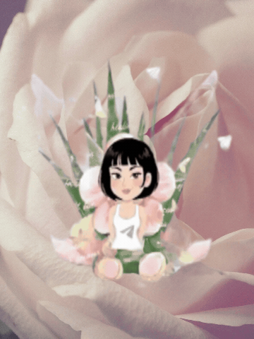 ALOE WINGS STORE