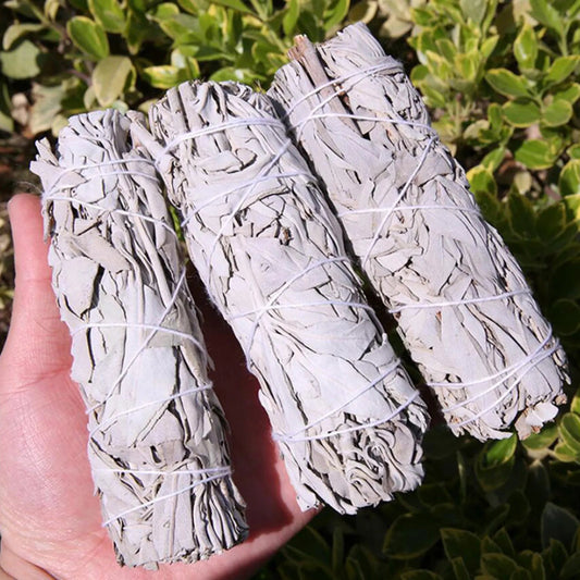White Californian Sage Cleansing Bundles Smudge Stick-ALOE WINGS STORE