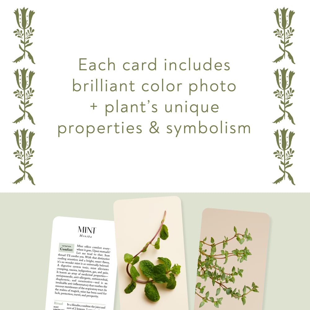 Botanicals Deck: 70 Plants and Flowers  to Enhance Your Life - ALOE WINGS STORE