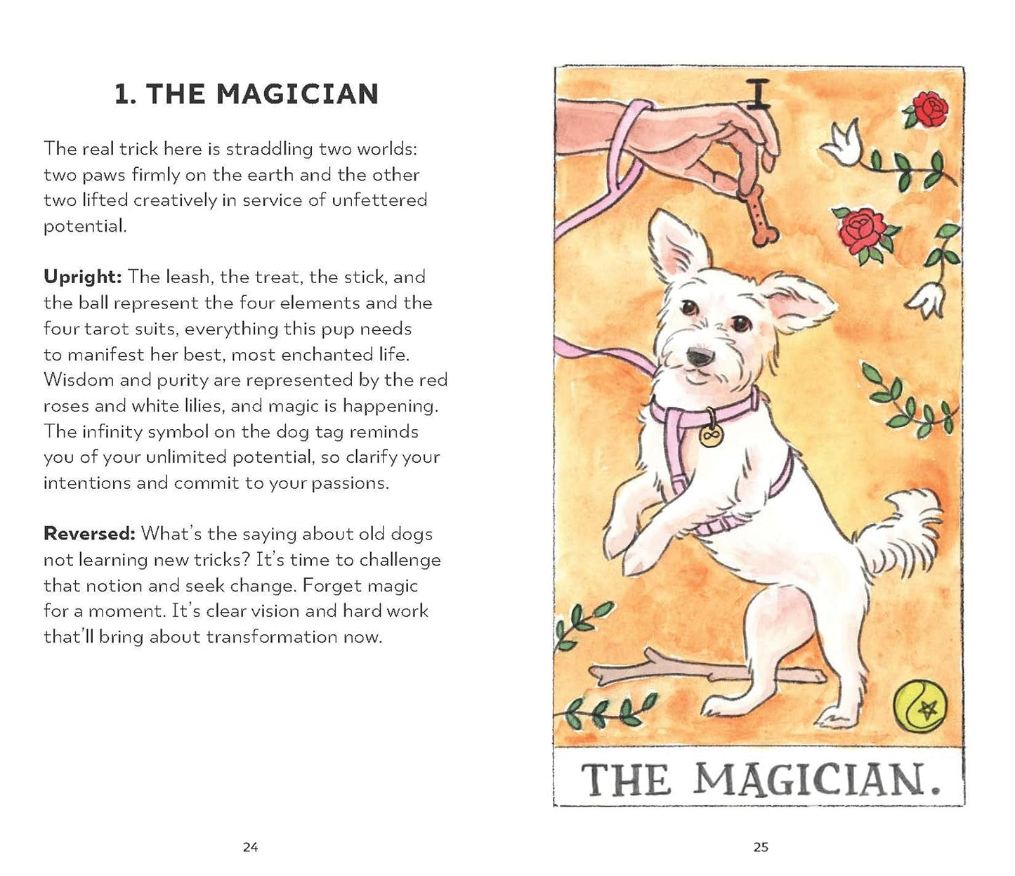 Dog Tarot: 78 Cards and Guidebook - ALOE WINGS STORE