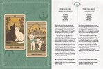 Cats Rule the Earth Tarot Deck With Guidebook - ALOE WINGS STORE