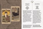 Cats Rule the Earth Tarot Deck With Guidebook - ALOE WINGS STORE