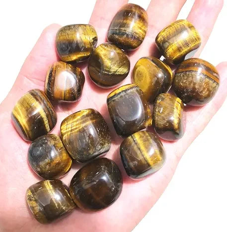 Hand holding polished tiger's eye tumbled stones for courage and confidence - natural feng shui crystal healing