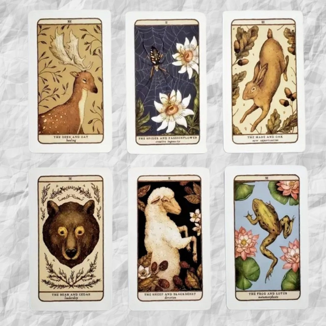 The Woodlands Warden Oracle Deck by Jessica Roux with Guidebook - ALOE WINGS STORE