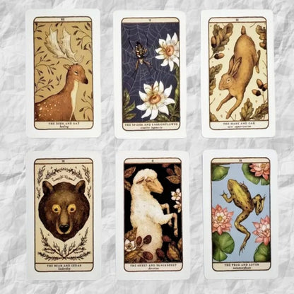 The Woodlands Warden Oracle Deck by Jessica Roux with Guidebook - ALOE WINGS STORE