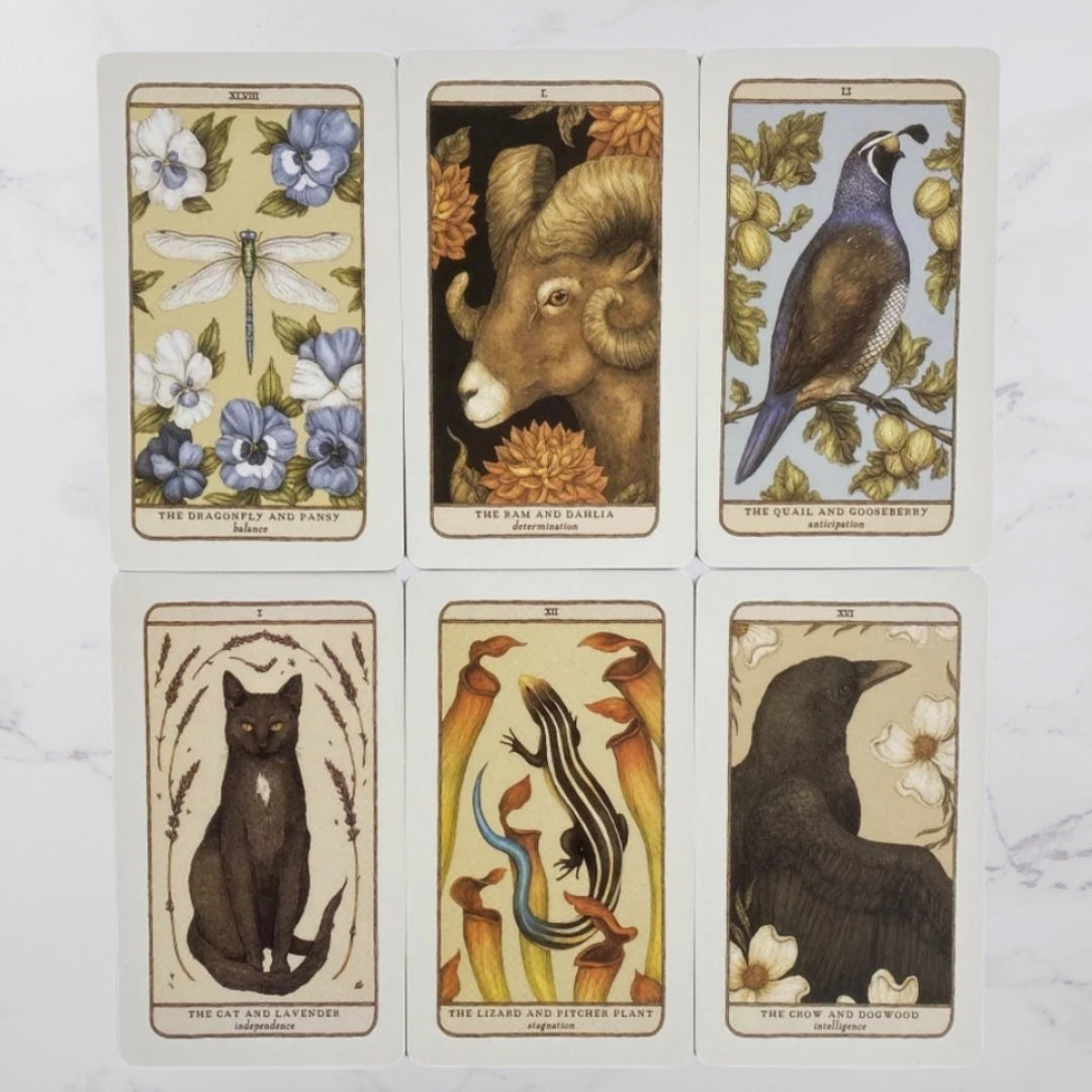 The Woodlands Warden Oracle Deck by Jessica Roux with Guidebook - ALOE WINGS STORE