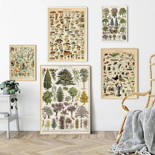 Vintage Adolphe Millot Encyclopedia Posters and Prints Botanical Mushrooms Herbs Flowers Insect Canvas Wall Art Decor - ALOE WINGS STORE