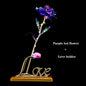 LED 24K Foil Plated Roses - ALOE WINGS STORE