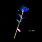 LED 24K Foil Plated Roses - ALOE WINGS STORE