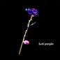 LED 24K Foil Plated Roses - ALOE WINGS STORE