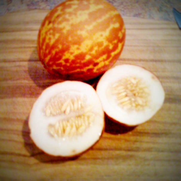 British Melon Seeds SELECTION - ALOE WINGS STORE