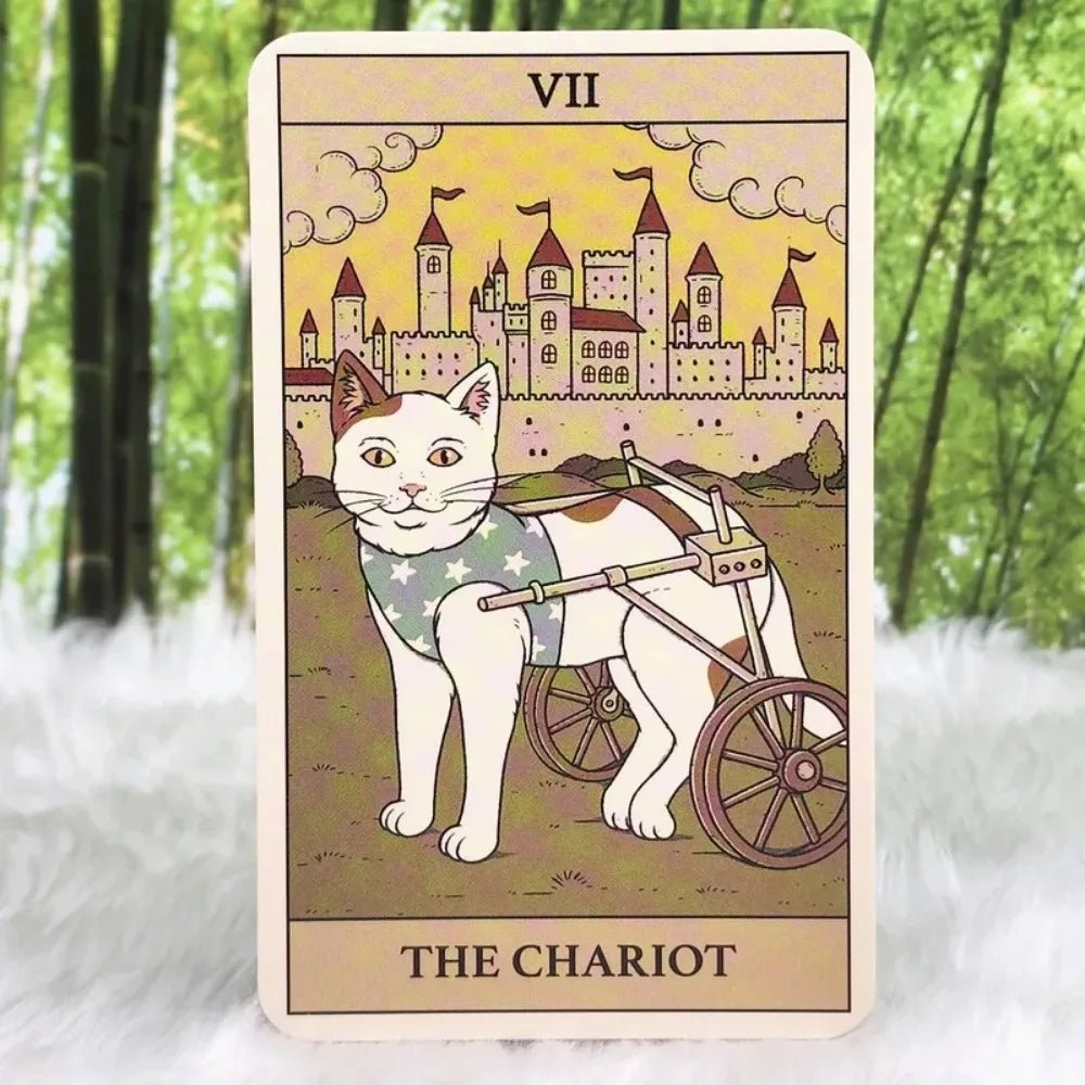 Cats Rule the Earth Tarot Deck With Guidebook - ALOE WINGS STORE