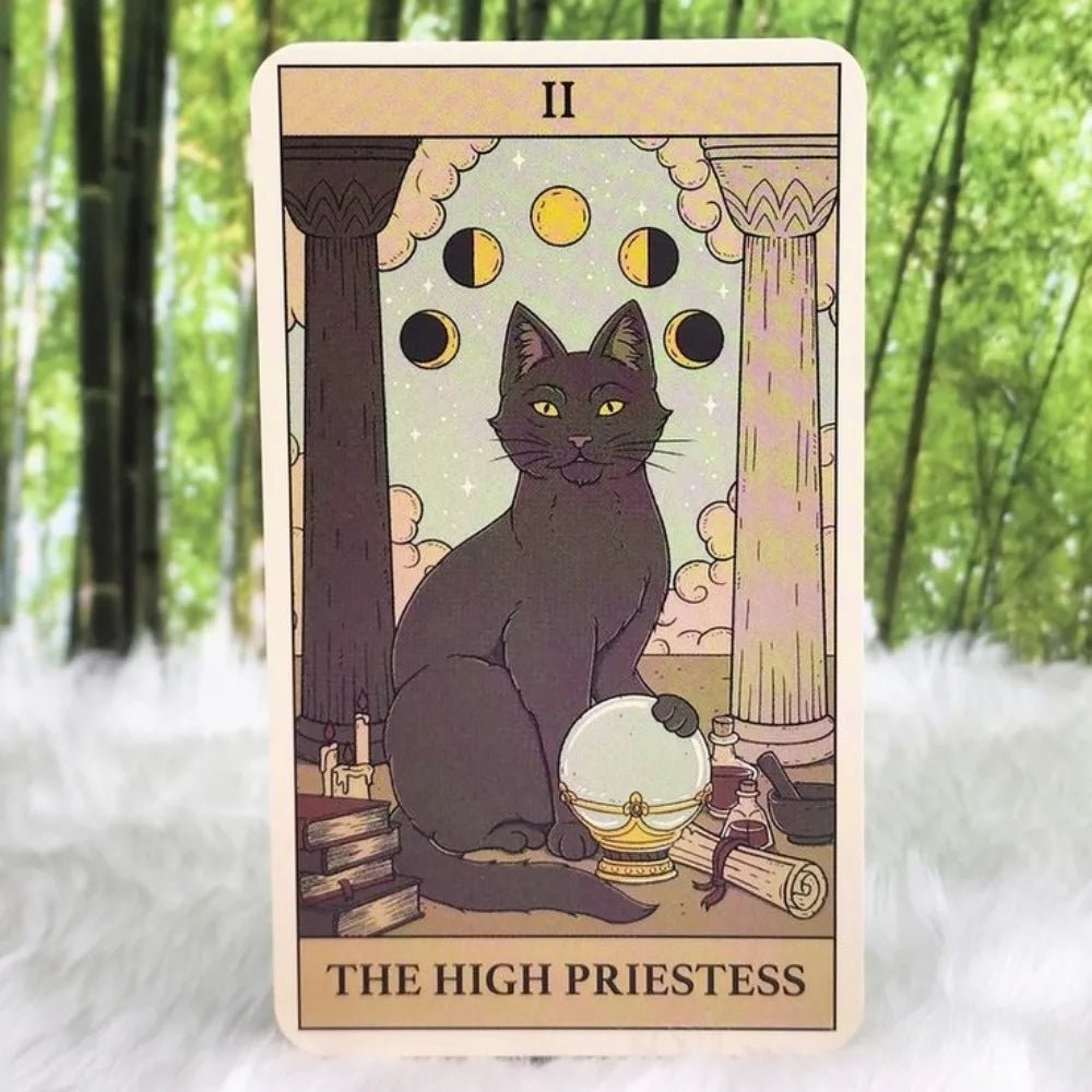 Cats Rule the Earth Tarot Deck With Guidebook - ALOE WINGS STORE