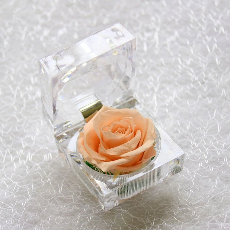 Rose In A Crystal Gift Box Selection - ALOE WINGS STORE