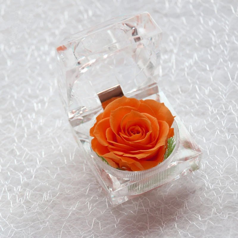 Rose In A Crystal Gift Box Selection - ALOE WINGS STORE